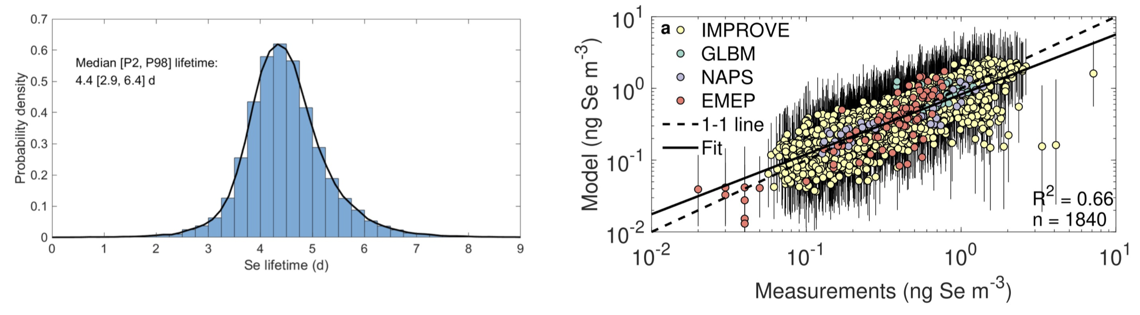 Probability distribution of selenium lifetime and model-measurement comparison