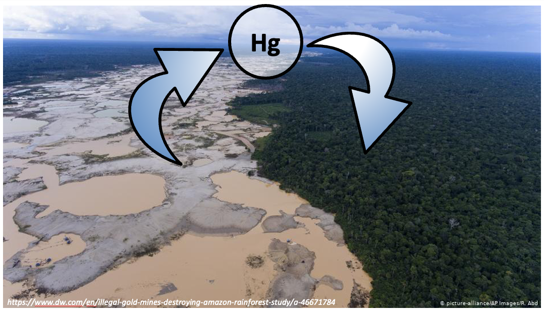 Gold mining sites within the Amazon rainforest